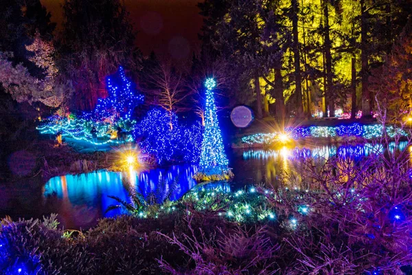 Luzes de Natal Reflexão Van Dusen Jardim Vancouver britânico C — Fotografia de Stock