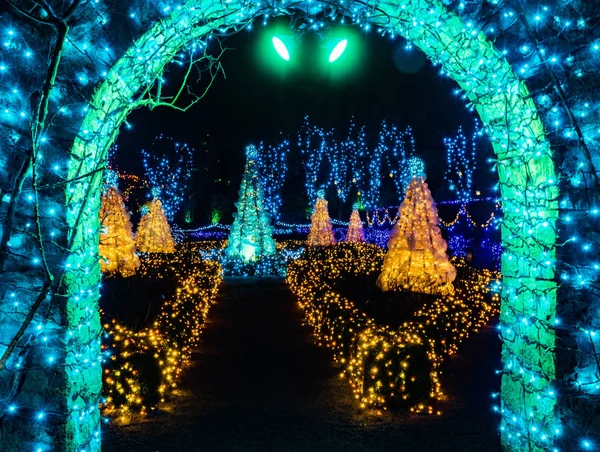 Azul Arco Verde Luzes de Natal Van Dusen Jardim Vancouver Brit — Fotografia de Stock