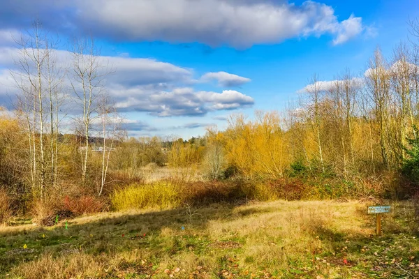 Bomen kleuren Juanita Bay Park Kirkland Washiington — Stockfoto