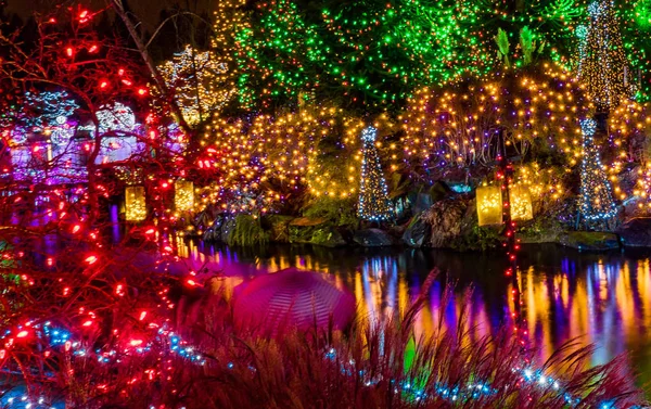 Christmas Lights Reflection Van Dusen Garden Vancouver British C — Stock Photo, Image