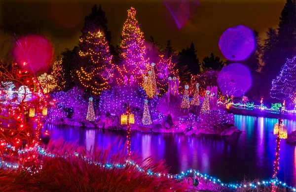 Luci di Natale Riflessione Van Dusen Garden Vancouver British C — Foto Stock