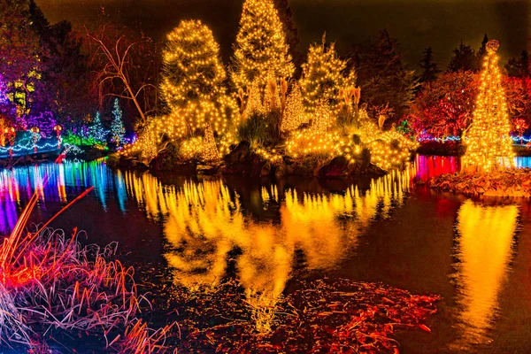 Weihnachtsbeleuchtung Reflexion van dusen garden vancouver britisch c — Stockfoto