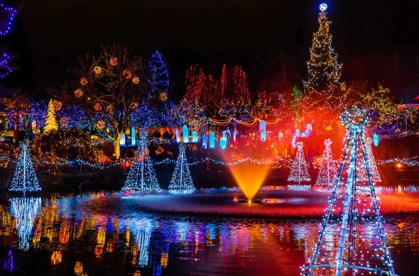 Luzes de Natal Reflexão Van Dusen Jardim Vancouver britânico C — Fotografia de Stock