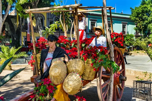 Mexican Christmas Red Poinsettas Cart Zocalo Oaxaca Mexico — Stock Photo, Image