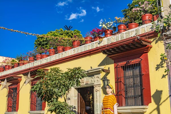 Fleurs de rue jaunes mexicaines colorées Oaxaca Juarez Mexique — Photo