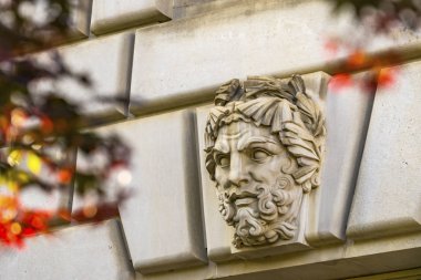 Antik Yüz Kırmızı Yaprakları Cephe Çevre Koruma Ajansı 