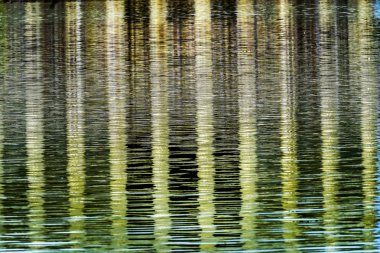 Soyut background Reflection Lincoln Memorial havuz Washington DC yansıtan