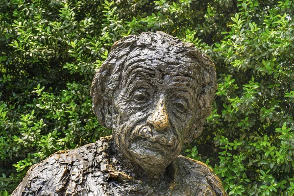 Albert Einstin Memorial Statue Washington DC — Stock Photo, Image