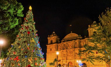 Cephe Noel Ağacı Lady Varsayım Katedrali Kilisesi Oaxaca Me
