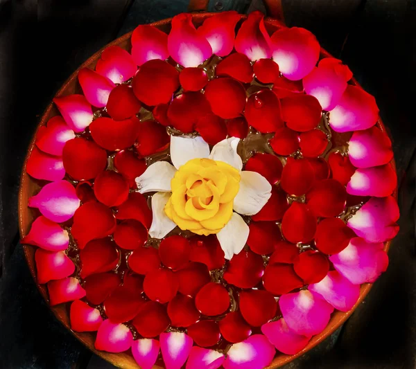Kolorowa Meksykańska Róża kwiaty układ Oaxaca Meksyk — Zdjęcie stockowe