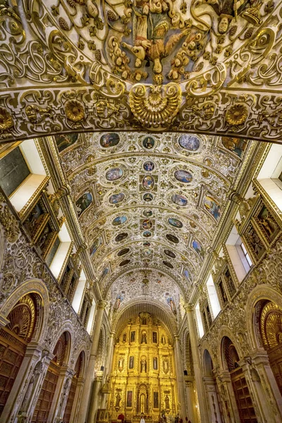华丽的天花板祭坛圣多明各德古兹曼教堂瓦哈卡墨西哥 — 图库照片