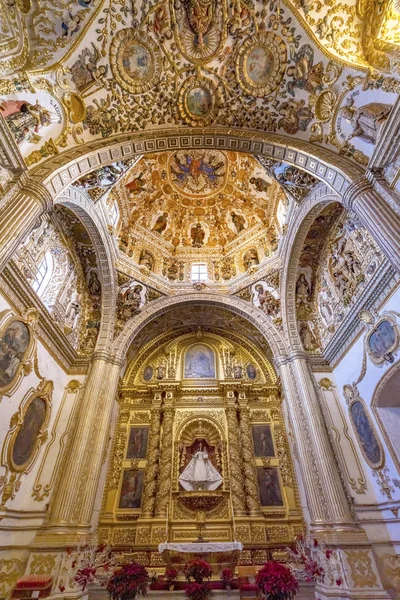 Sierlijke plafond koepel Santo Domingo de Guzman kerk Oaxaca Mexico — Stockfoto