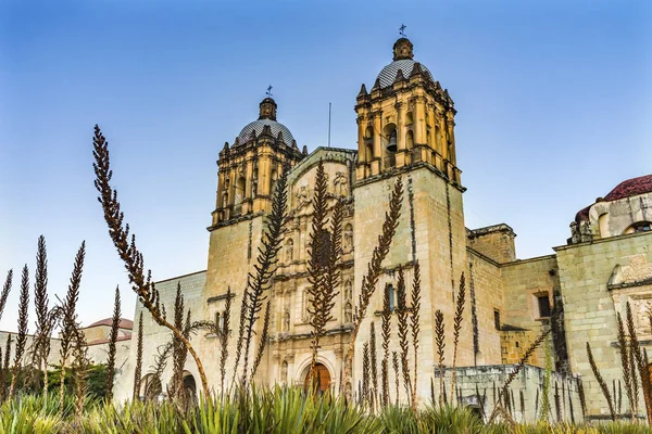 Santo Domingo de Guzman fasad trädgård kyrka Oaxaca Mexiko — Stockfoto