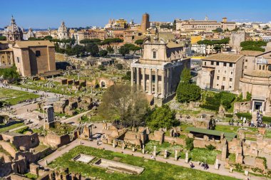Antik Forum Vesta Tapınağı Regia Roma İtalya 