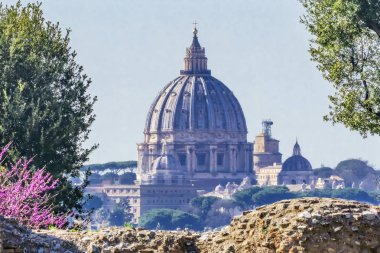 Palantine Tepesi Aziz Petrus Bazilikası Vatikan Roma İtalya 