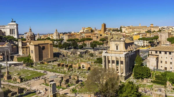 Antik Forum Vesta Tapınağı Regia Curia Roma İtalya — Stok fotoğraf