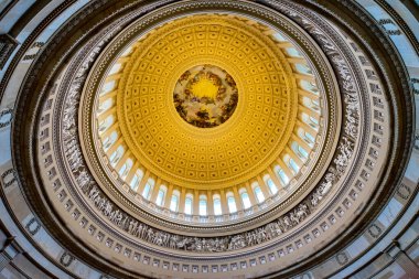 Başkent Kubbesi Rotunda Apotheosis Washington DC