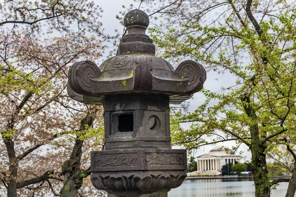 Japanese Lantern Cherry Blossoms Tidal Basin Jefferson Memorial — Stockfoto