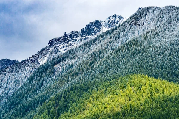 Snow Mount Cascade Tartomány Evergreen Forest North Bend Washington — Stock Fotó