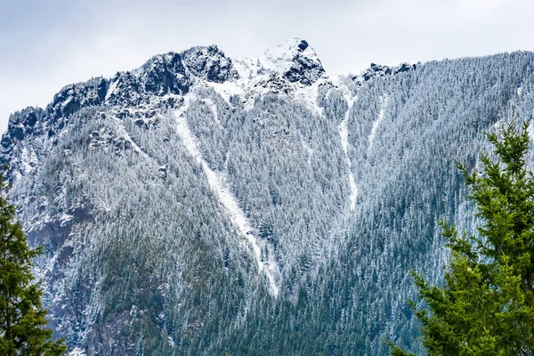 Snö Täckt Mount Peak Cascade Range Forest North Bend Washington — Stockfoto