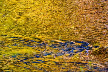 Sarı Mavi South Fork Snoqualme Nehri Soyut Snoqualme Vadisi Yolu Kuzey Virajı Washingto