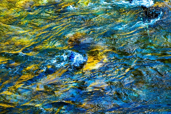 South Fork Snoqualme River Abstract Snoqualme Valley Trail North Bend — Stock Photo, Image