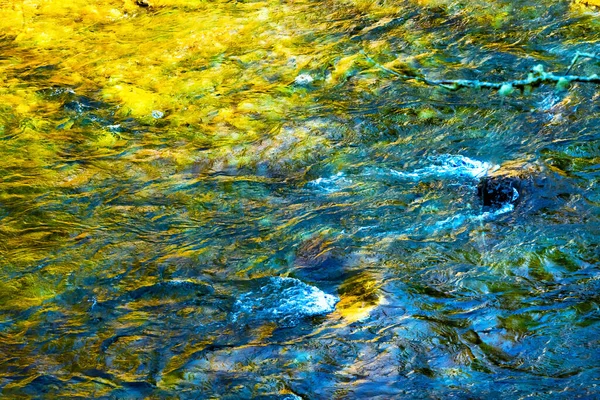 South Fork Snoqualme River Abstract Snoqualme Valley Trail North Bend — Foto Stock