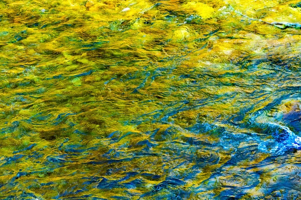 Yellow Blue South Fork Snoqualme River Abstract Snoqualme Valley Trail — стокове фото