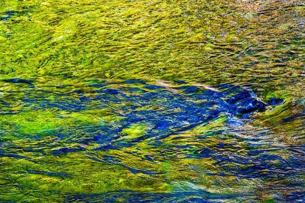 Yellow Blue South Fork Snoqualme River Abstract Snoqualme Valley Trail — Foto Stock