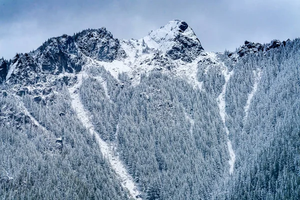 Pokryta Śniegiem Góra Peak Cascade Range Forest North Bend Waszyngton — Zdjęcie stockowe