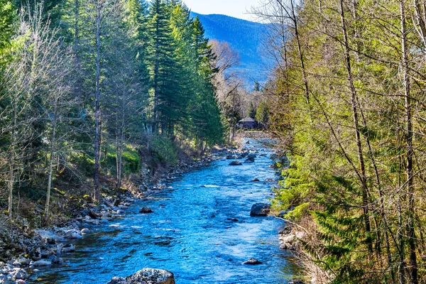 Snoqualme River Snoqualme Valley Trail North Bend Washingto — 图库照片