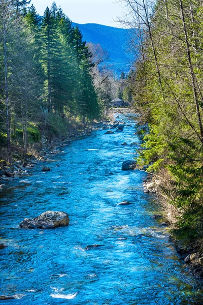 South Fork Snoqualme River Snoqualme Valley Trail North Bend Washingto — Stock Photo, Image