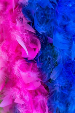 Renkli Pembe Mavi Tüyler Mor Mavi New Orleans Louisiana Kolyeleri. Tüyler Mardi Gras 'da uyarıldı. 
