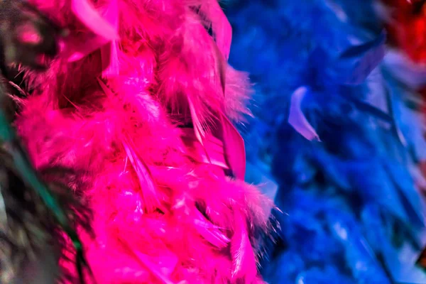 カラフルなピンクブルーの羽のネックレスパープルブルーホワイトニューオーリンズ マルディ グラースで警告された羽 — ストック写真