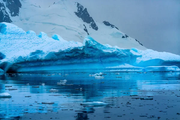 Snowing Floating Blue Iceberg Reflection Paradise Bay Skintorp Cove Antarktis — Stockfoto