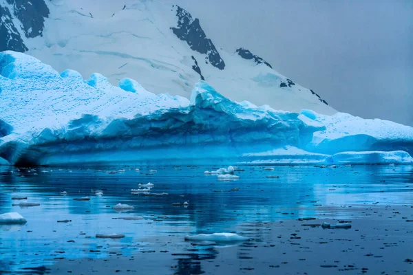 Snöande Flytande Blå Iceberg Reflektion Paradise Bay Skintorp Cove Antarktis — Stockfoto