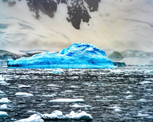 Snowing Floating Blue Iceberg Paradise Bay Skintorp Cove Antarctica Glacier — Stock Photo, Image