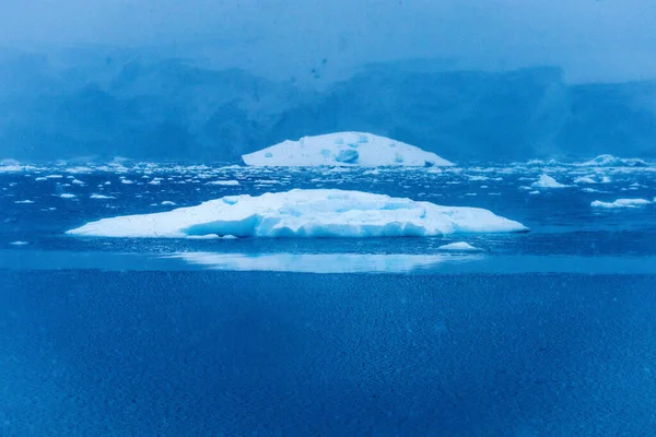 Snowing Floating Blue Iceberg Reflexão Paradise Bay Skintorp Cove Antártica — Fotografia de Stock