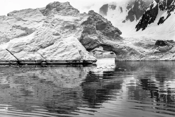 Черно Белый Плавающий Синий Айсберг Арка Отражения Парадизе Залива Скинторп — стоковое фото