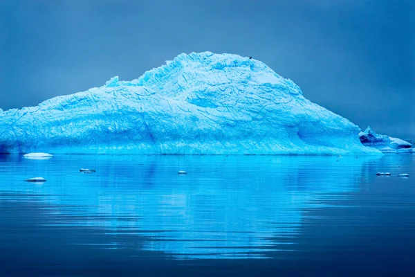 Black Bird Snowing Floating Blue Iceberg Reflection Paradise Bay Skintorp Cove Antarctica. Glacier ice blue because air squeezed out of snow.