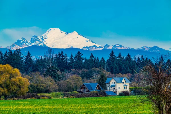 Farm Snowy Mount Baker Mountains Skagit Valley Washington — Stockfoto