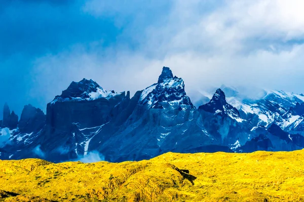 Pijnhorens Drie Granieten Toppen Nationaal Park Torres Del Paine Patagonië — Stockfoto