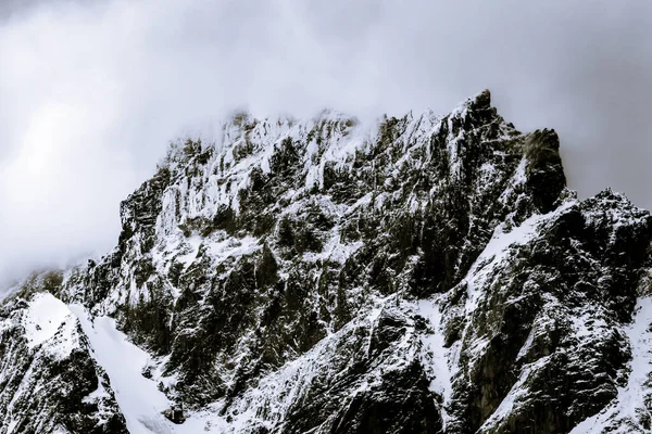 Bianco Nero Neve Montagna Torres Del Paine Parco Nazionale Patagonia — Foto Stock