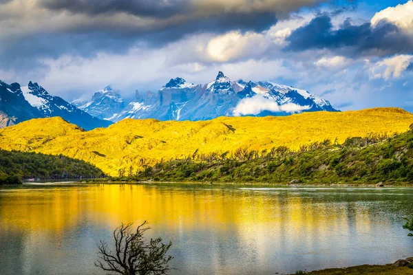 Lac Grey Cornes Paine Trois Pics Granit Parc National Des — Photo