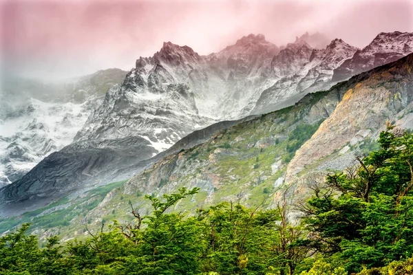 Nationaal Park Torres Del Paine Nationaal Park Patagonië Chili — Stockfoto