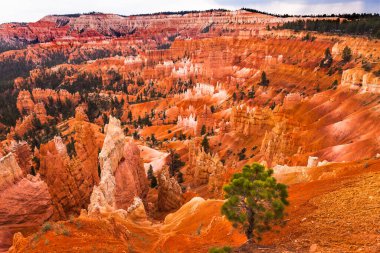Amfitiyatro Kabadayıları Bryce Canyon Ulusal Parkı Utah