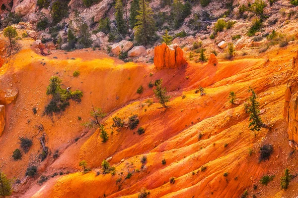 Árboles Arenas Naranjas C0Lorful Bryce Point Bryce Canyon National Park — Foto de Stock