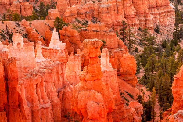 Sunrise Thor Hammer Sunset Point Hoodoos Fényképész Bryce Canyon National — Stock Fotó