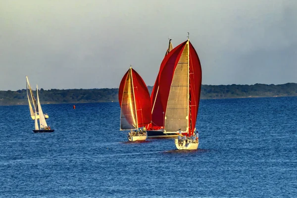 Evening Races Colorful Sailboat Spinnaker Racing Padanaram Harbor Buzzards Bay — 스톡 사진