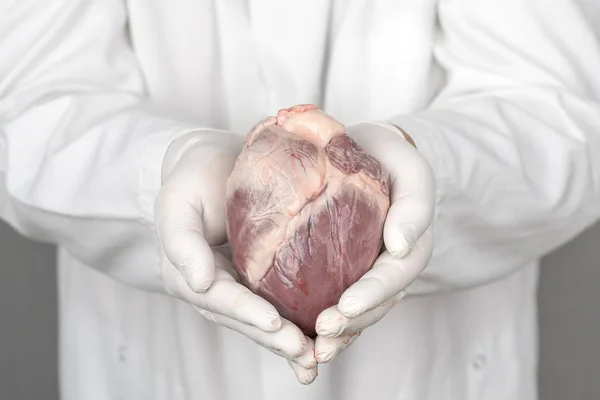 Un medico tiene un cuore tra le mani — Foto Stock